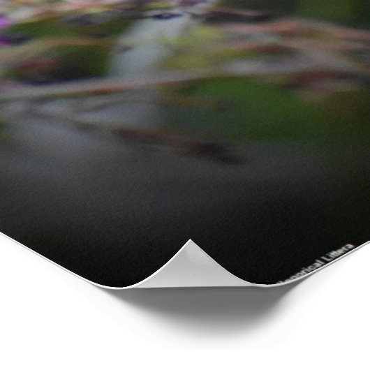 Butterfly Poster (Hoek)