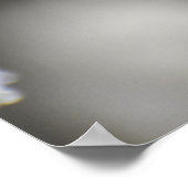 Butterfly Poster (Hoek)