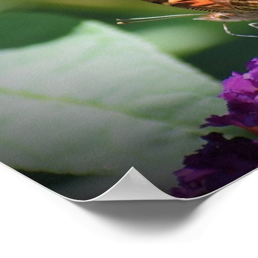 Butterfly Poster (Hoek)