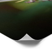 Butterfly Poster (Hoek)