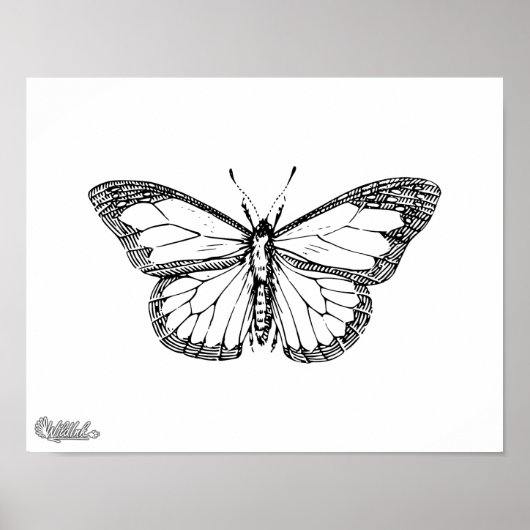 Butterfly Poster (Voorkant)
