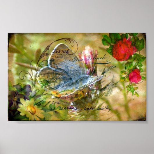 Butterfly Poster (Voorkant)