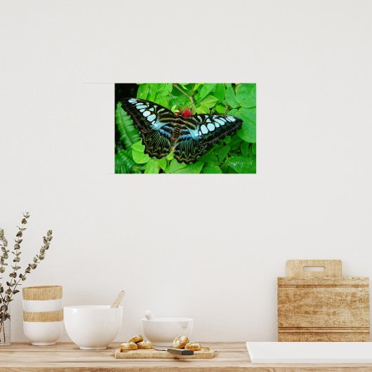 Butterfly Poster (Keuken)
