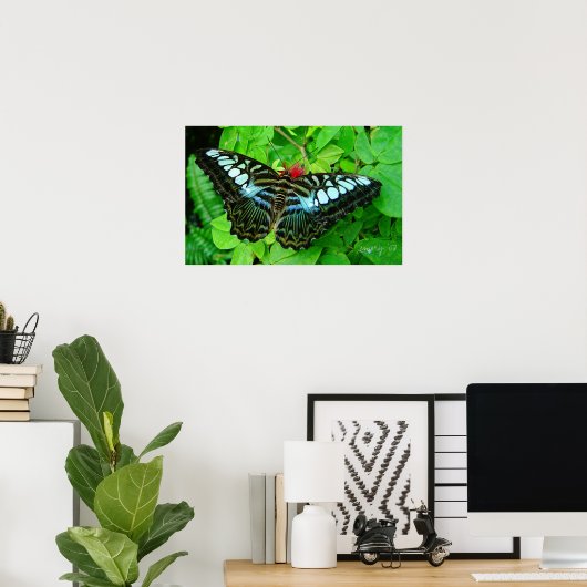 Butterfly Poster (Thuiskantoor)