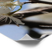 Butterfly Poster w Verse uit Deuteronomy 31:6 (Hoek)