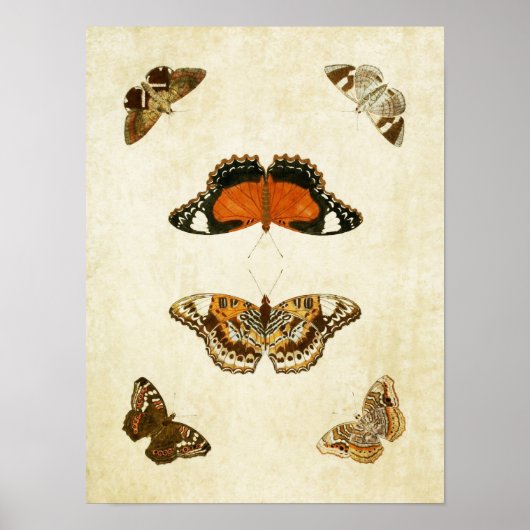 Butterfly Print 062 (Voorkant)