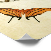 Butterfly Print 087 (Hoek)