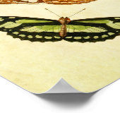 Butterfly Print 196 (Hoek)