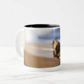 Butterfly probeert eruit te komen, Zweden. Tweekleurige Koffiemok (Voorkant links)