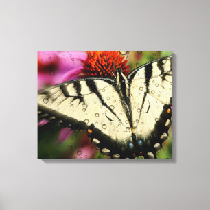 Butterfly Quad Canvas Wrap Afdruk