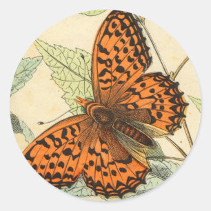Butterfly Ronde Sticker