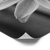 Butterfly sluiten poster (Hoek)