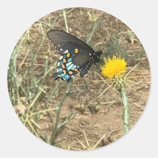 Butterfly Sticker (Voorkant)