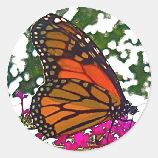 Butterfly Sticker (Voorkant)