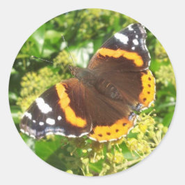 Butterfly Sticker, Sticker