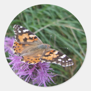 Butterfly-stickers Ronde Sticker