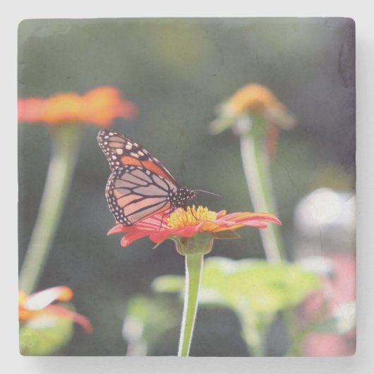Butterfly Stone Onderzetters (Voorkant)