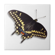 Butterfly Tegel - Black Swallowtail