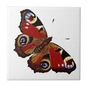 Butterfly Tegeltje