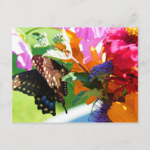 Butterfly - Thinking of You Briefkaart