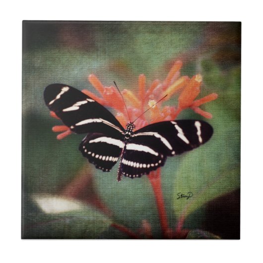 Butterfly Tile Tegeltje (Voorkant)