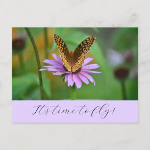 Butterfly Time for New Life Adventures Carte posta