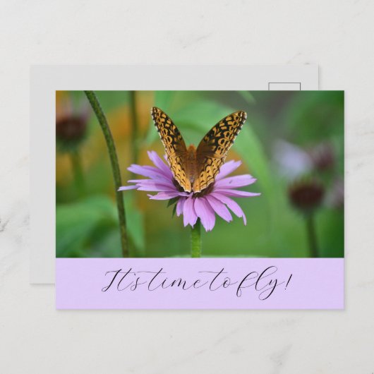 Butterfly Time for New Life Adventures Carte posta (Devant / Derrière)