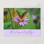 Butterfly Time for New Life Adventures Carte posta (Devant)