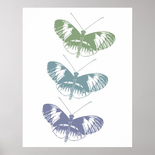 Butterfly Trio Poster (Voorkant)