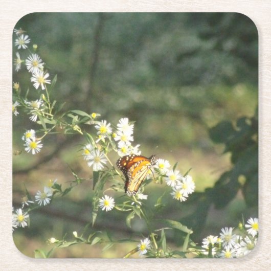 Butterfly Vierkante Kartonnen Onderzetter (Voorkant)