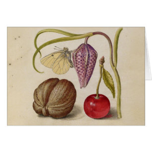 Butterfly Walnut Flower Cherry Watercolor Art