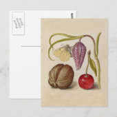 Butterfly Walnut Flower Cherry Waterverf Art Briefkaart (Voorkant / Achterkant)