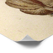 Butterfly Walnut Flower Cherry Waterverf Art Poster (Hoek)