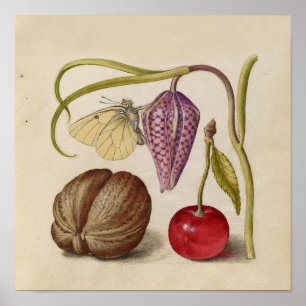 Butterfly Walnut Flower Cherry Waterverf Art Poster