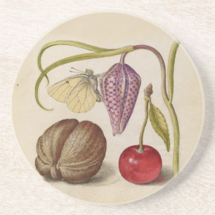 Butterfly Walnut Flower Cherry Waterverf Art Zandsteen Onderzetter