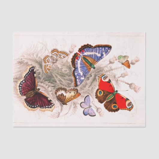 Butterfly-weefselpapier Tissuepapier (Voorkant)