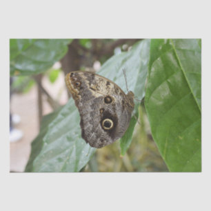 Butterfly-weefselpapier Tissuepapier