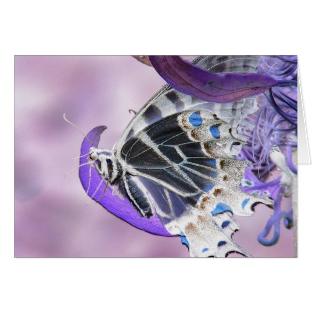 Butterfly-wijziging (Voorkant Horizontaal)