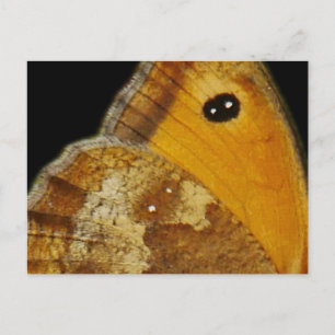 Butterfly Wing-Briefkaart Feestdagenkaart
