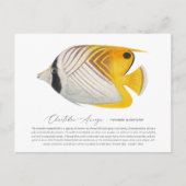 Butterflyfish Briefkaart (Voorkant)