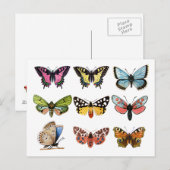 Butterfly's . briefkaart (Voorkant / Achterkant)