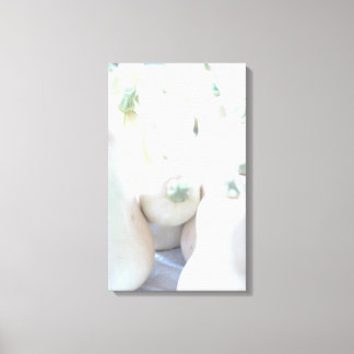 Butternut Squash Canvas Afdruk