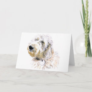 Butters the Labradoodle Greeting Card Kaart