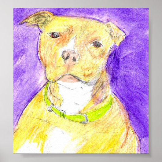 Butterscotch Poster (Voorkant)