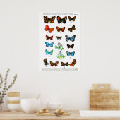buttertaart boekvlinderinsectendruk poster (Keuken)