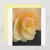 Buttery Begonia Note Card Bedankkaart (Voorkant / Achterkant)