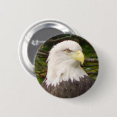 Button Amerikaanse Bald Eagle (Voorkant /achterkant)