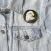 Button Amerikaanse Bald Eagle (In situ)