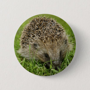 Button Badge uit hedgel