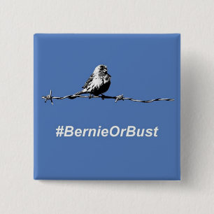 Button Bernie of Bust